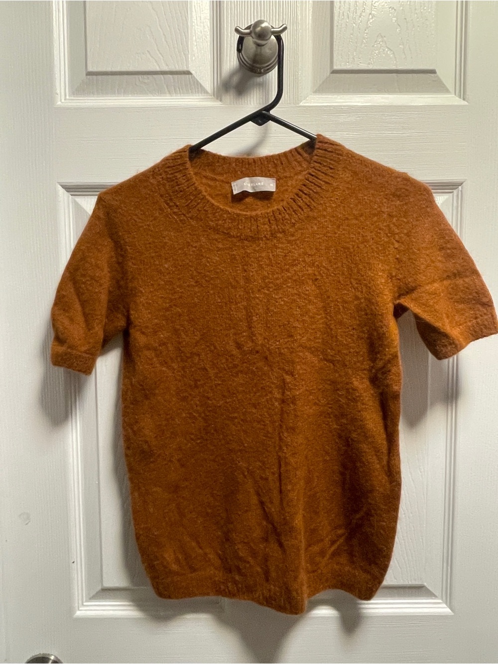 Everlane Short-Sleeve Crewneck Sweater in Rust